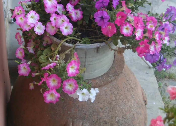 منزل ريفي Podere La Cava