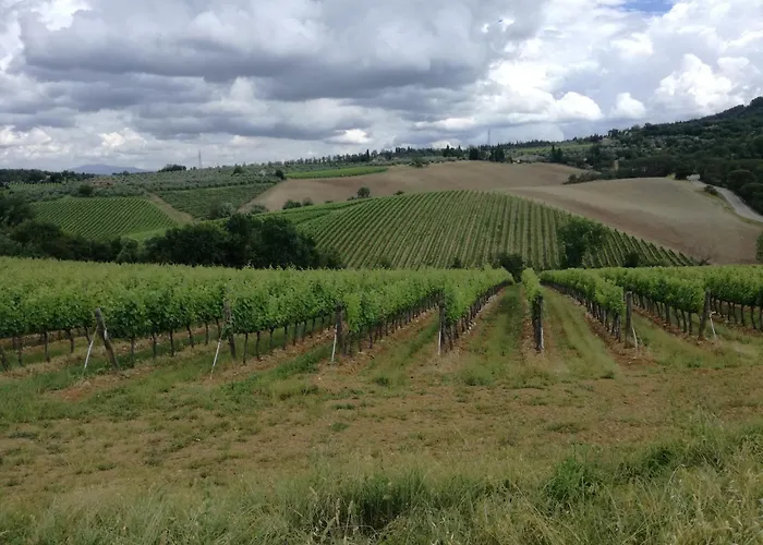 منزل ريفي Podere La Cava